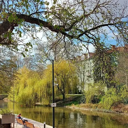 Liliom Apartament Bichișciaba